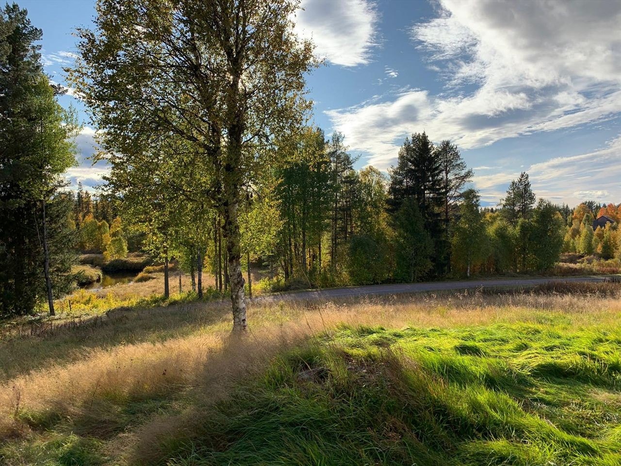 Privat foto Galleribilde