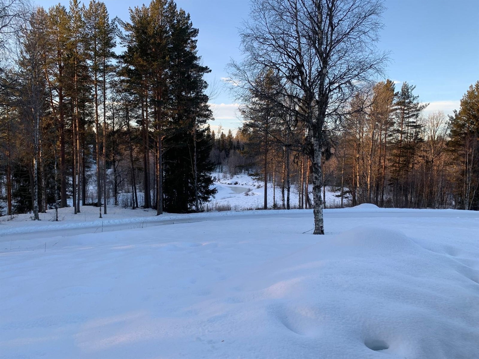 Privat foto Galleribilde