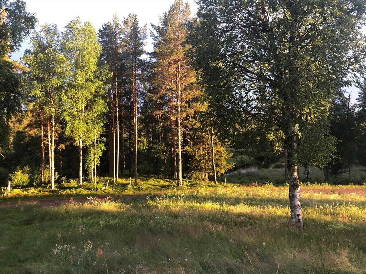 Privat foto Galleribilde