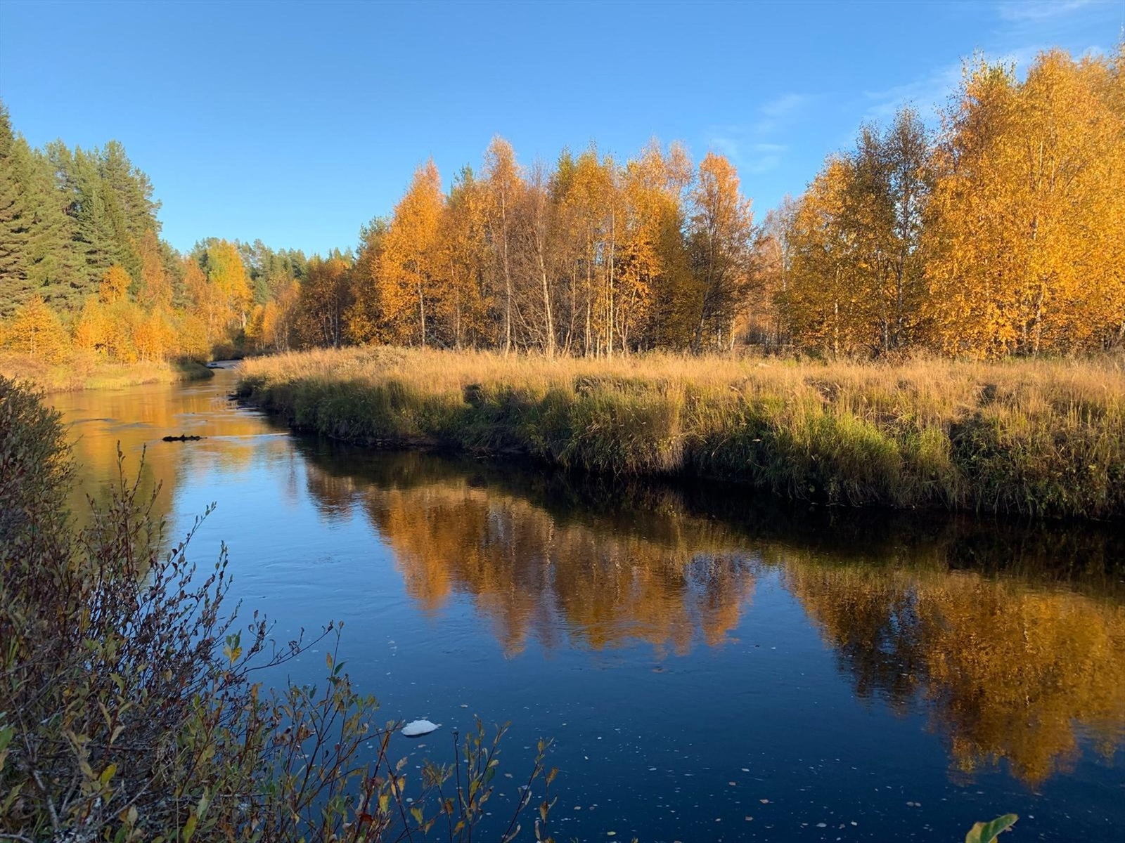 Privat foto Galleribilde