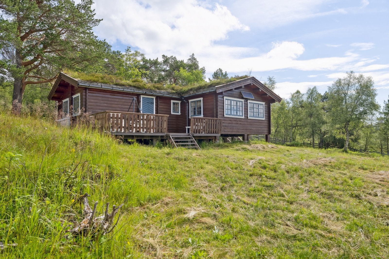 Hytta ligger på en stor og fin naturtomt Galleribilde