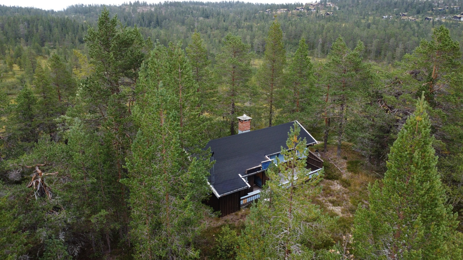 Sjarmerende idyll som hvor du kan oppleve stillheten i naturen. Kanskje man skimter lyset fra andre hytte vinduer langt unna. Galleribilde