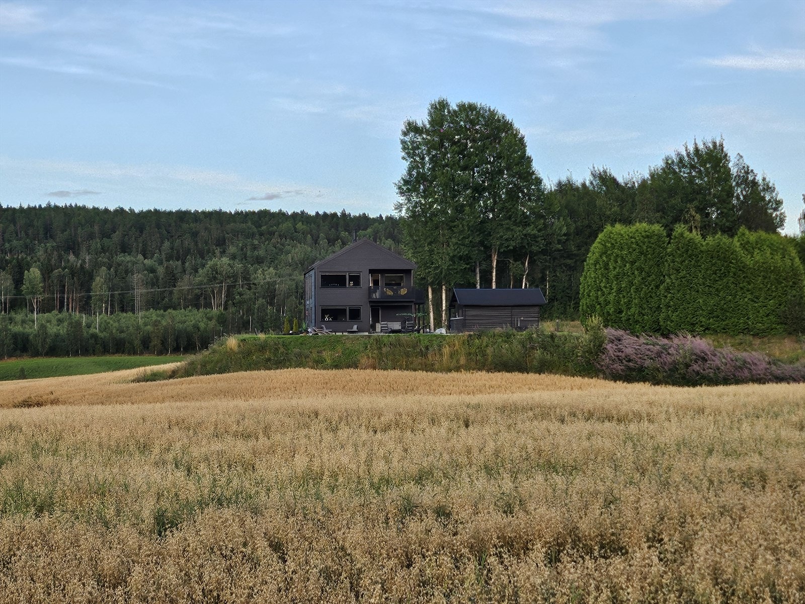Boligen ligger i et hyggelig lite tun, med fin åkerlandskap og skog rundt seg Galleribilde