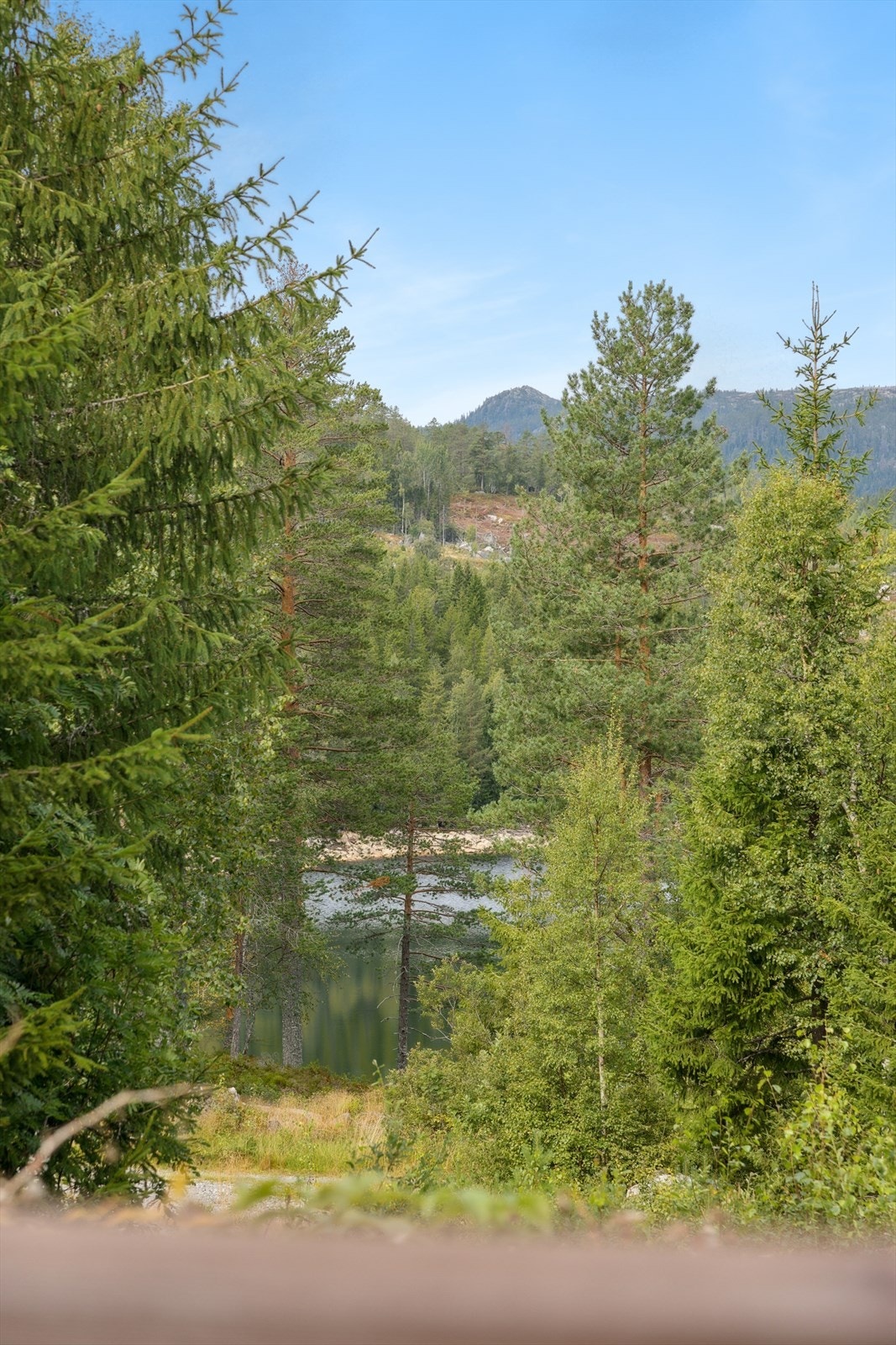 Muligheter for fiske bare et steinkast fra hytteveggen. Galleribilde