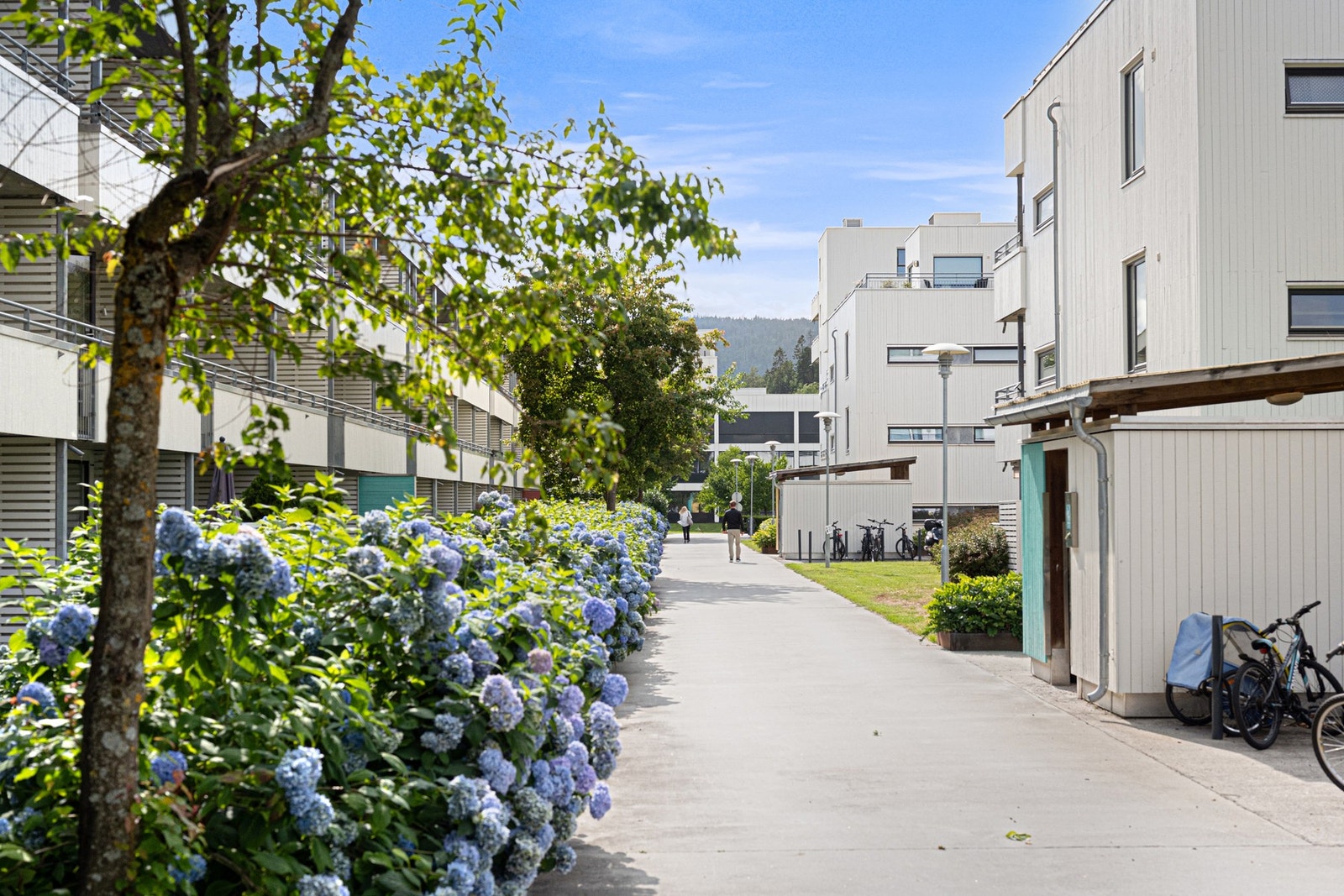 Det er gatebelysning langs adkomstveier og fellesarealene er pent opparbeidet med trær, busker og blomster. Galleribilde