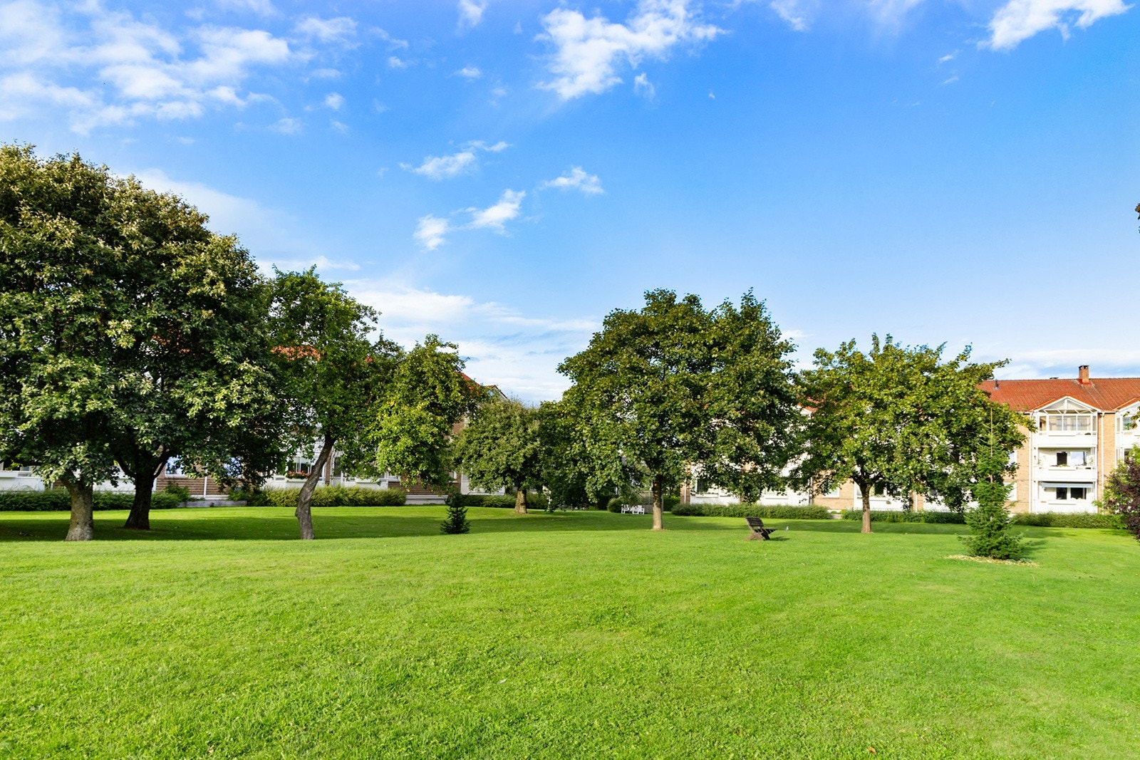 Det er store grøntarealer mellom boligblokkene. Galleribilde
