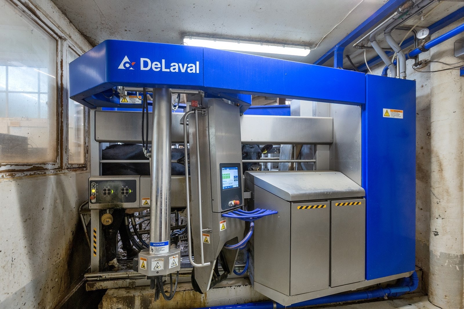 Melkerobot fra 2022 Galleribilde