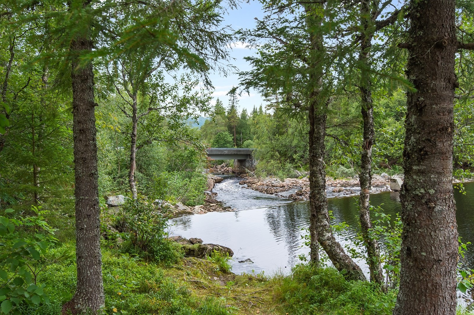 Fine sommerdager kan nytes ved Vassdølin, der det er benker for å ta en rast og flere fine badeplasser. Galleribilde