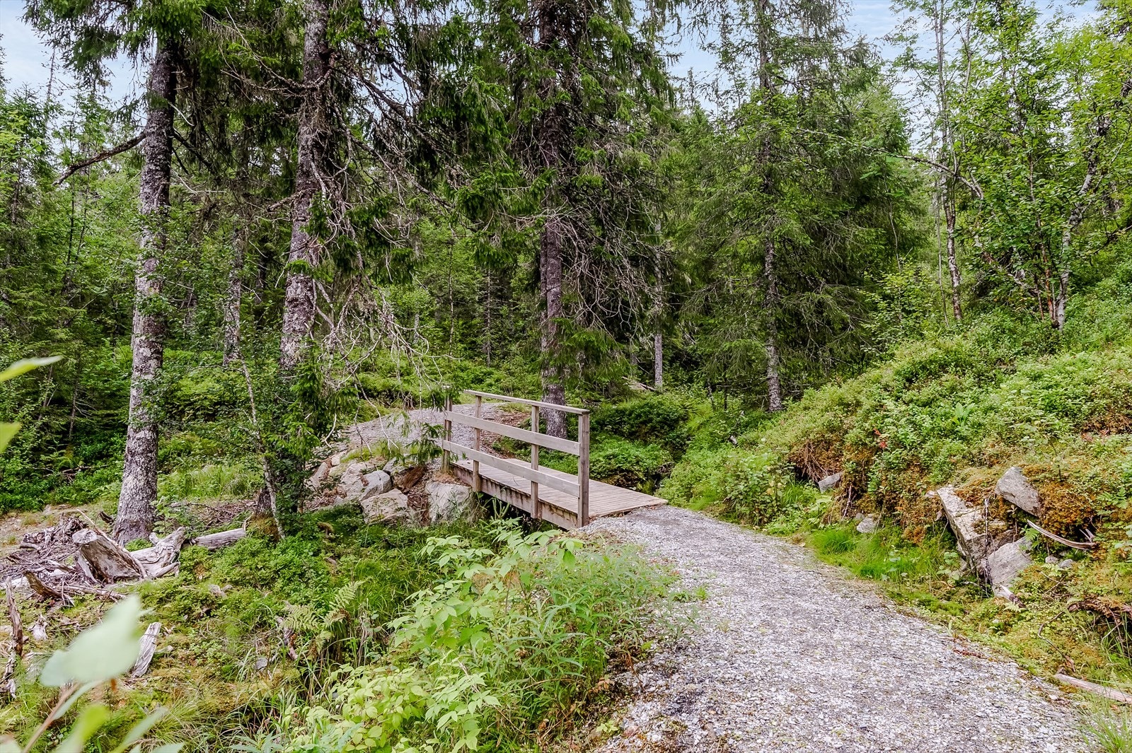 Fra vegen er det ca 150 meter opp til hytten. Den turen blir lett å gå, på disse oppbygde stiene som minner om et lite eventyr. Det er hytteforeningen som drifter og vedlikeholder stiene på god dugnadsånd. Galleribilde