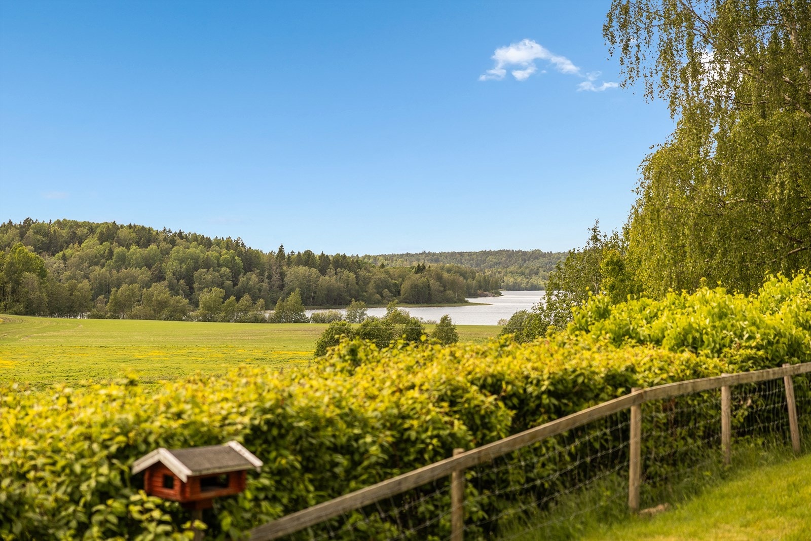 Stor eng og gressmark - en del av eiendommens teiger Galleribilde