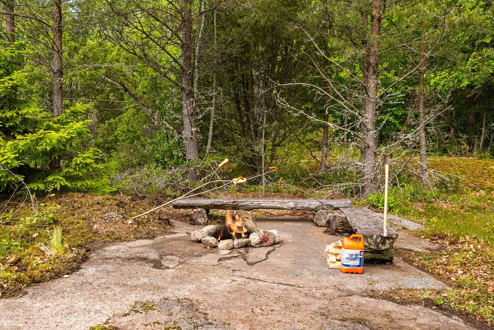 Sitteplass med utsikt - lun og fin plassering ved skogkanten Galleribilde