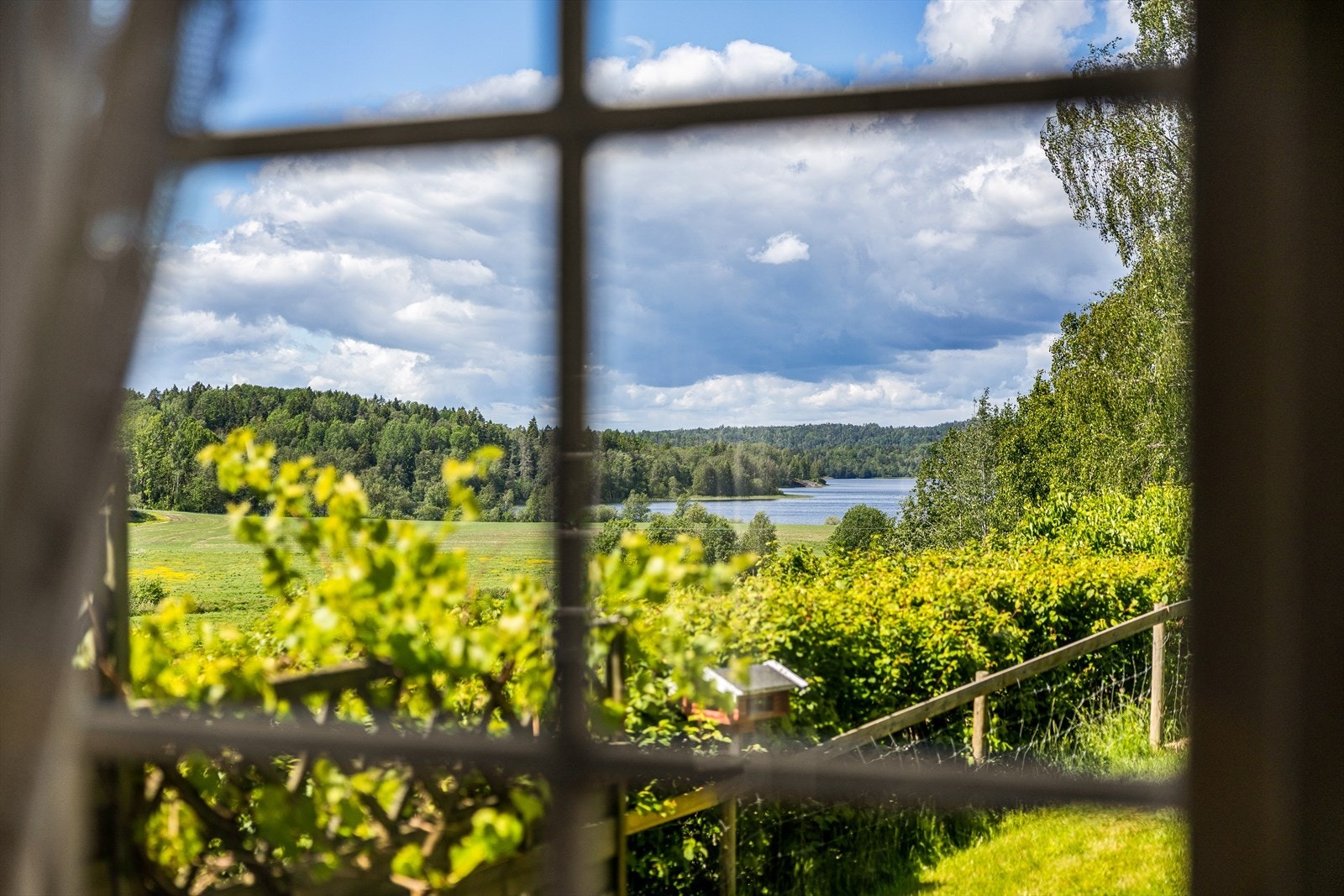 Utsiktsvindu med flott blikk ut mot hage og landskap Galleribilde