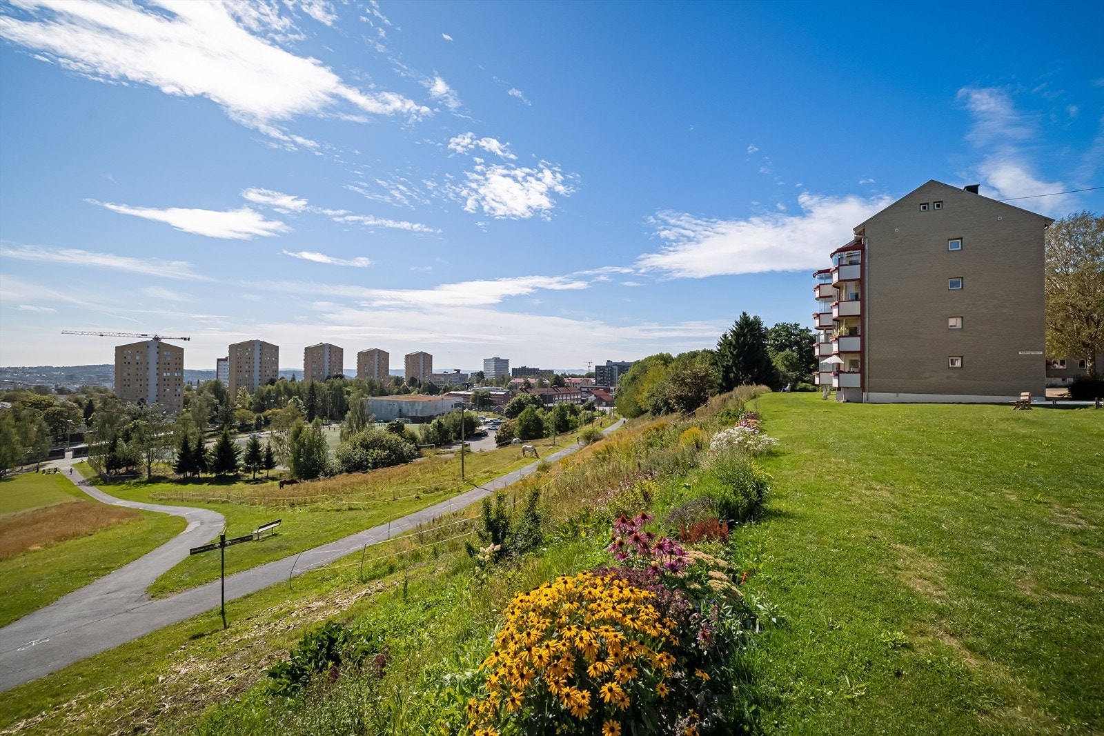 Fasade. Galleribilde
