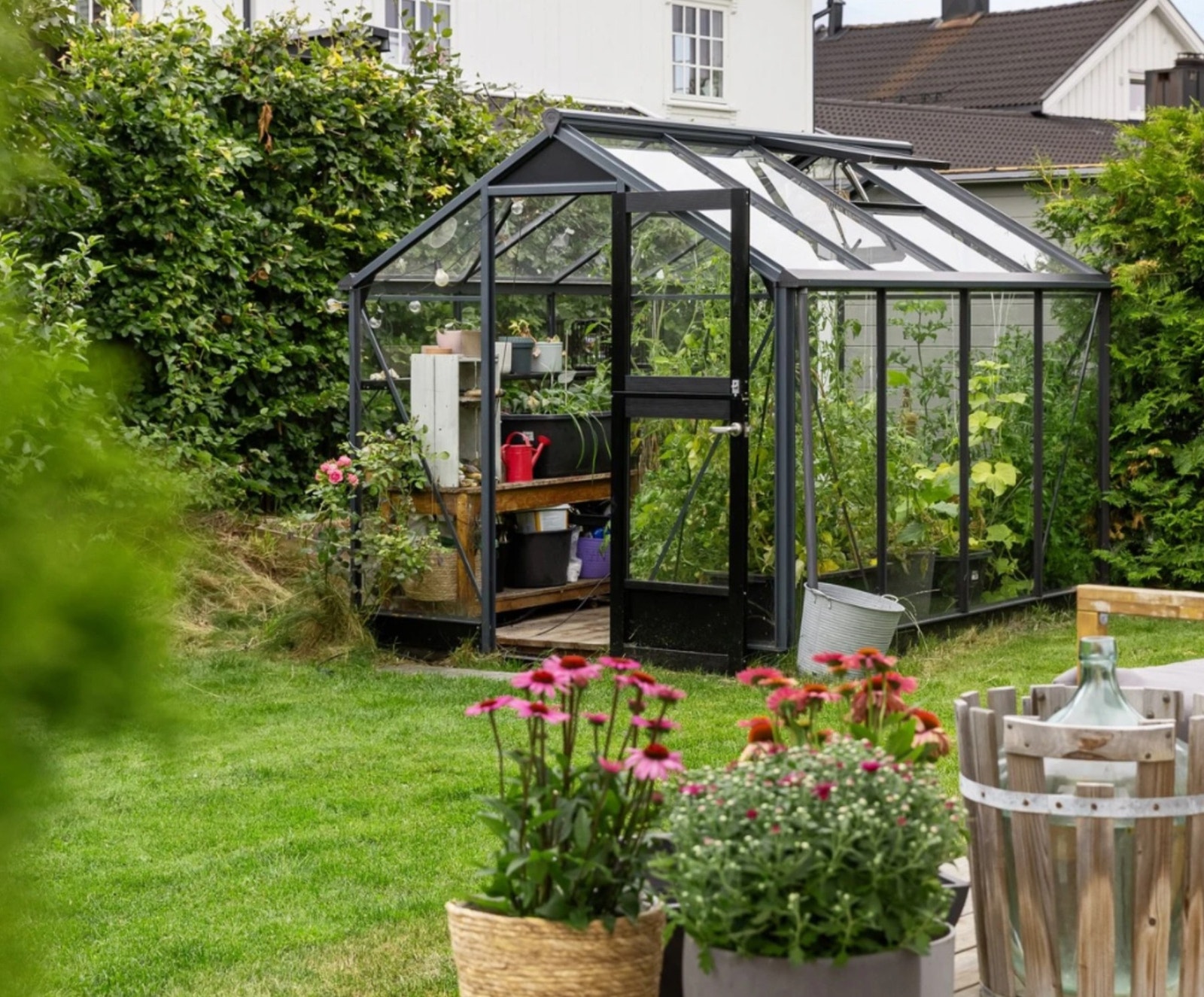 Drivhuset gir mulighet for å dyrke urter og grønnsaker. Galleribilde