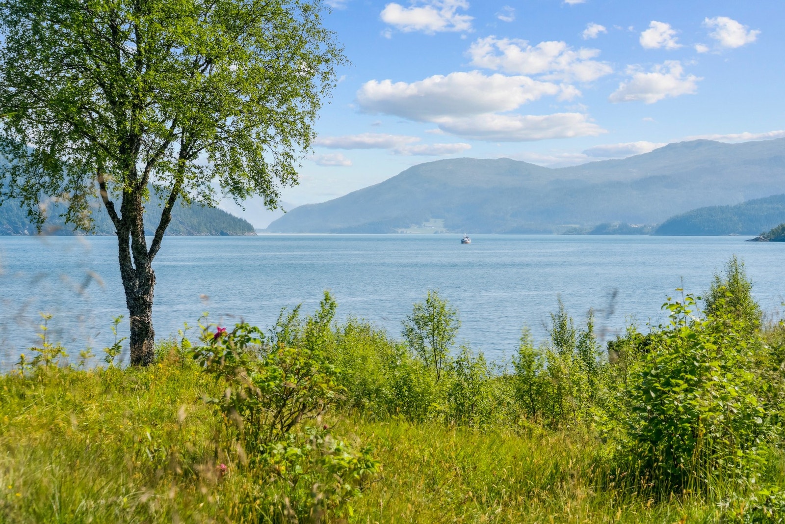 Området rundt inviterer til bading, fiske og utallige naturopplevelser, samtidig som du har Hemnesberget i nærheten med nødvendige fasiliteter. Galleribilde