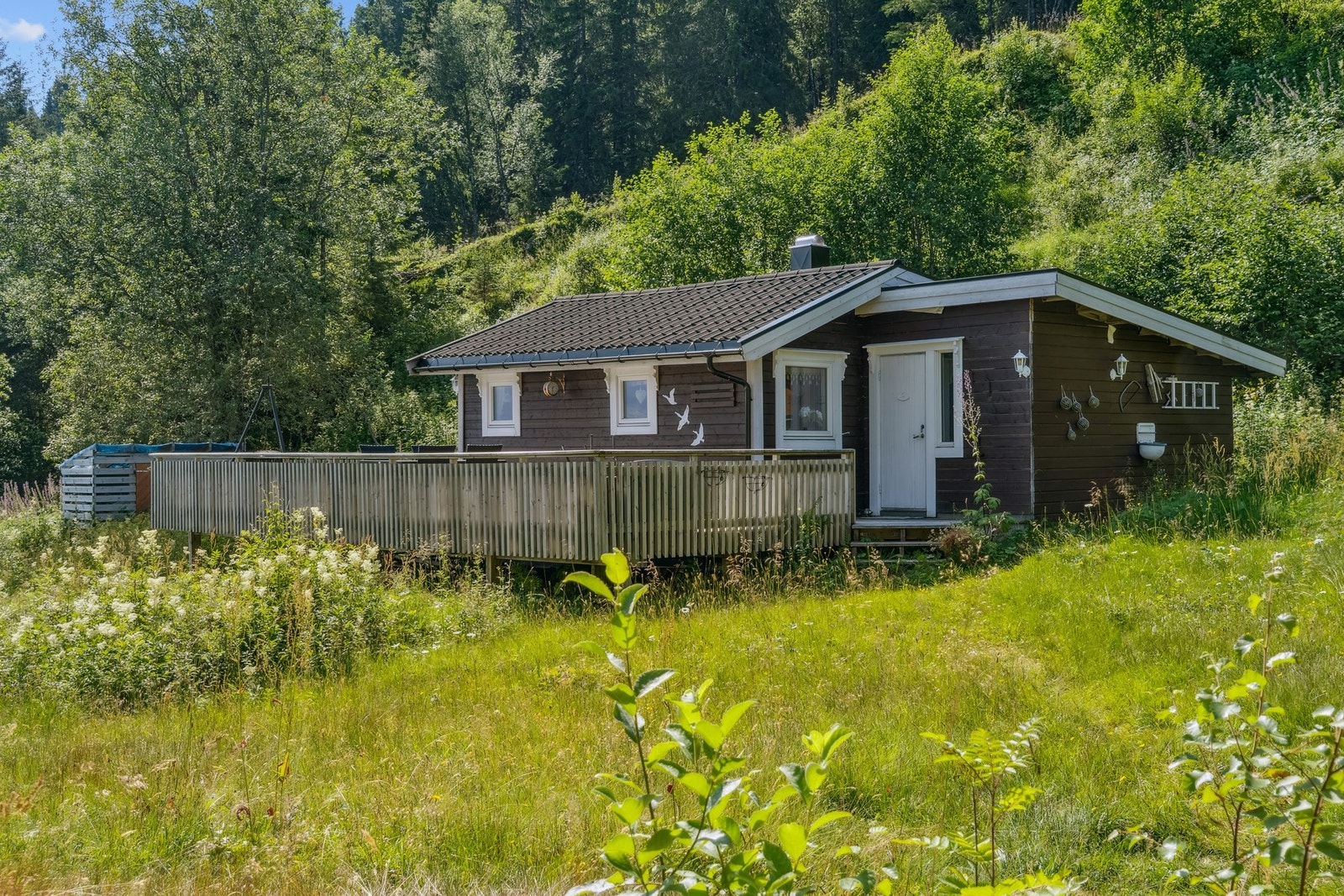 Anneks (hytte nr 2). Galleribilde