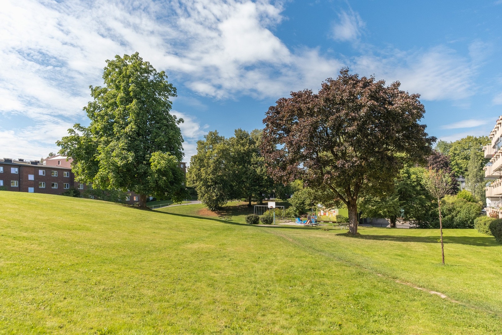 Det er flotte turområder i umiddelbar nærhet. Galleribilde