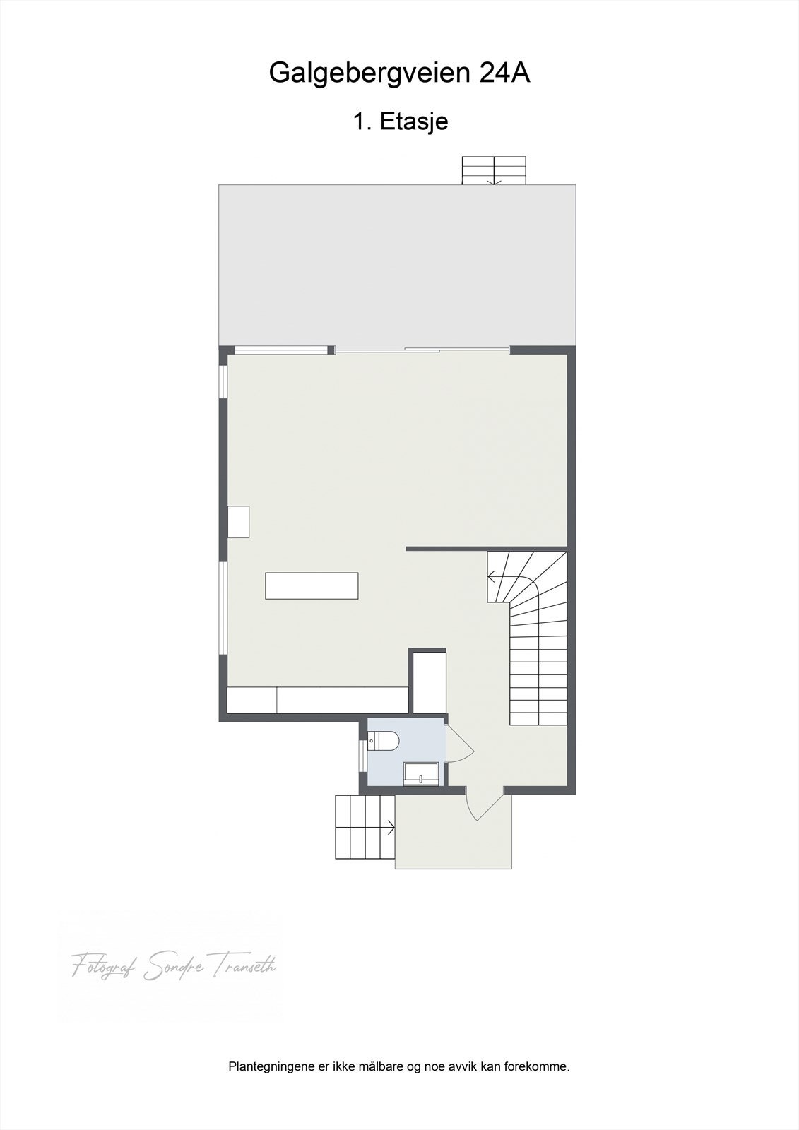 Planløsning 1.etg.: entre/mellomgang, toalettrom, samt en åpen stue/kjøkkenløsning med tilkomst til terrasse og hageområde. Galleribilde