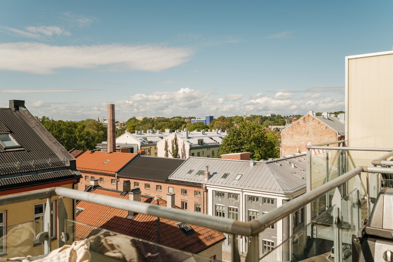 Her titter du over tretoppene i Sofienbergparken. Galleribilde