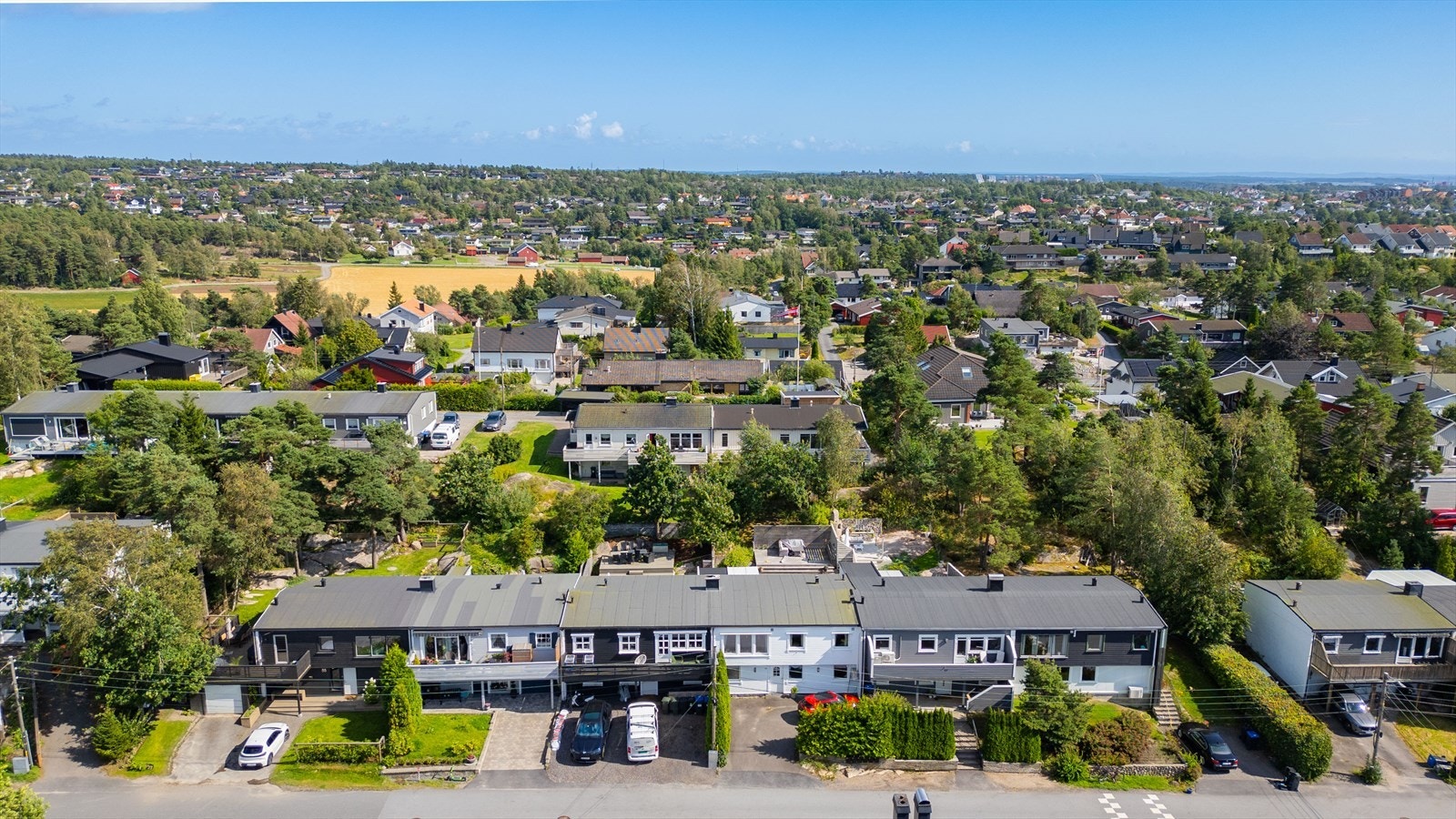 Dronebilde område. Galleribilde