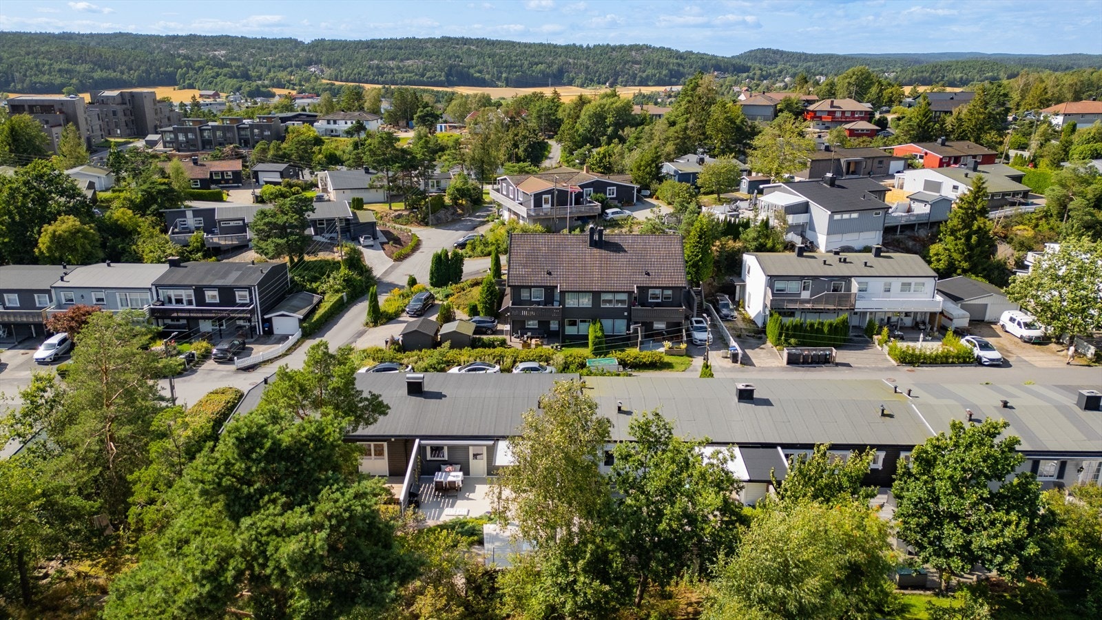 Dronebilde område. Galleribilde