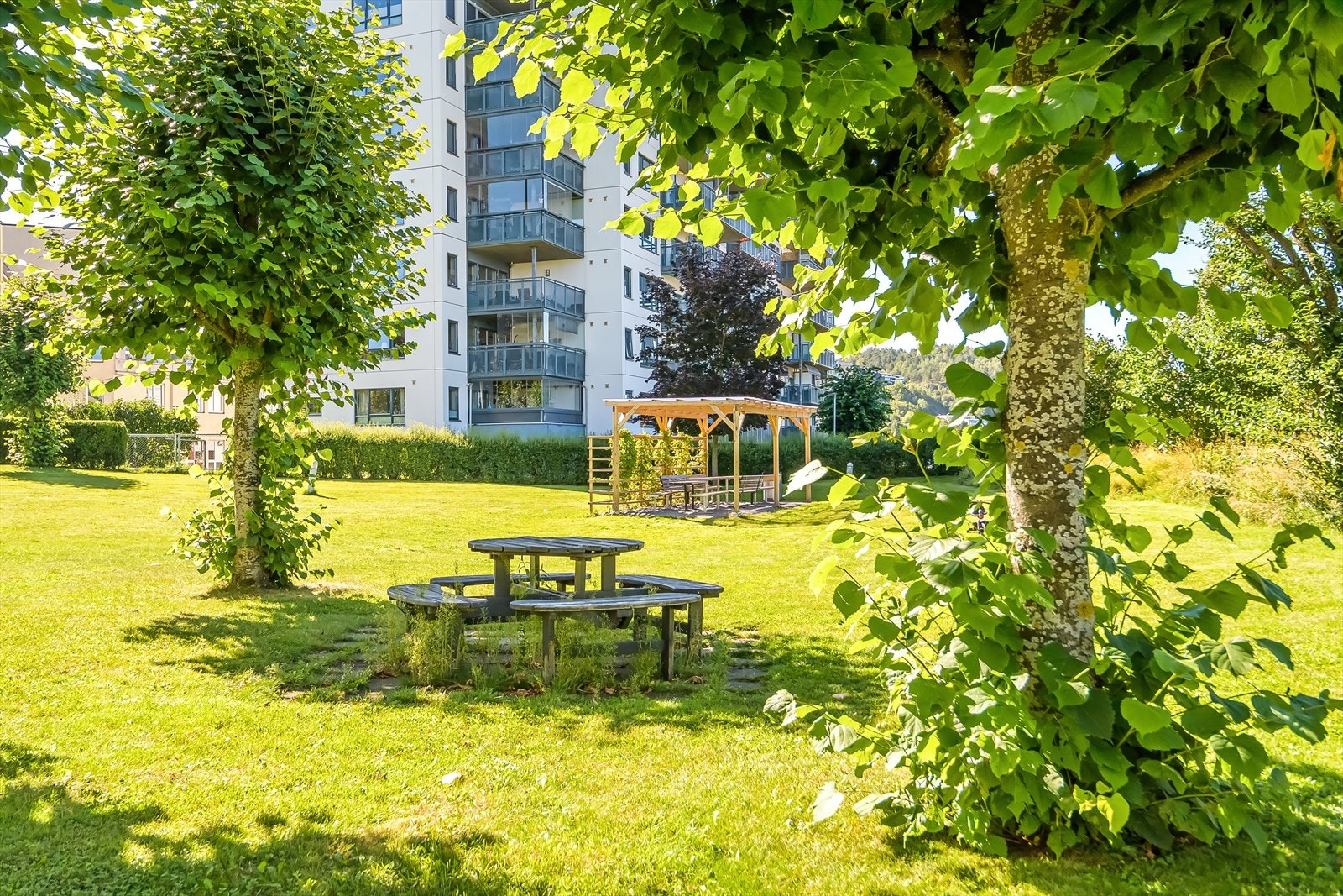 Fellesområder med sittegrupper og beplantning. Galleribilde