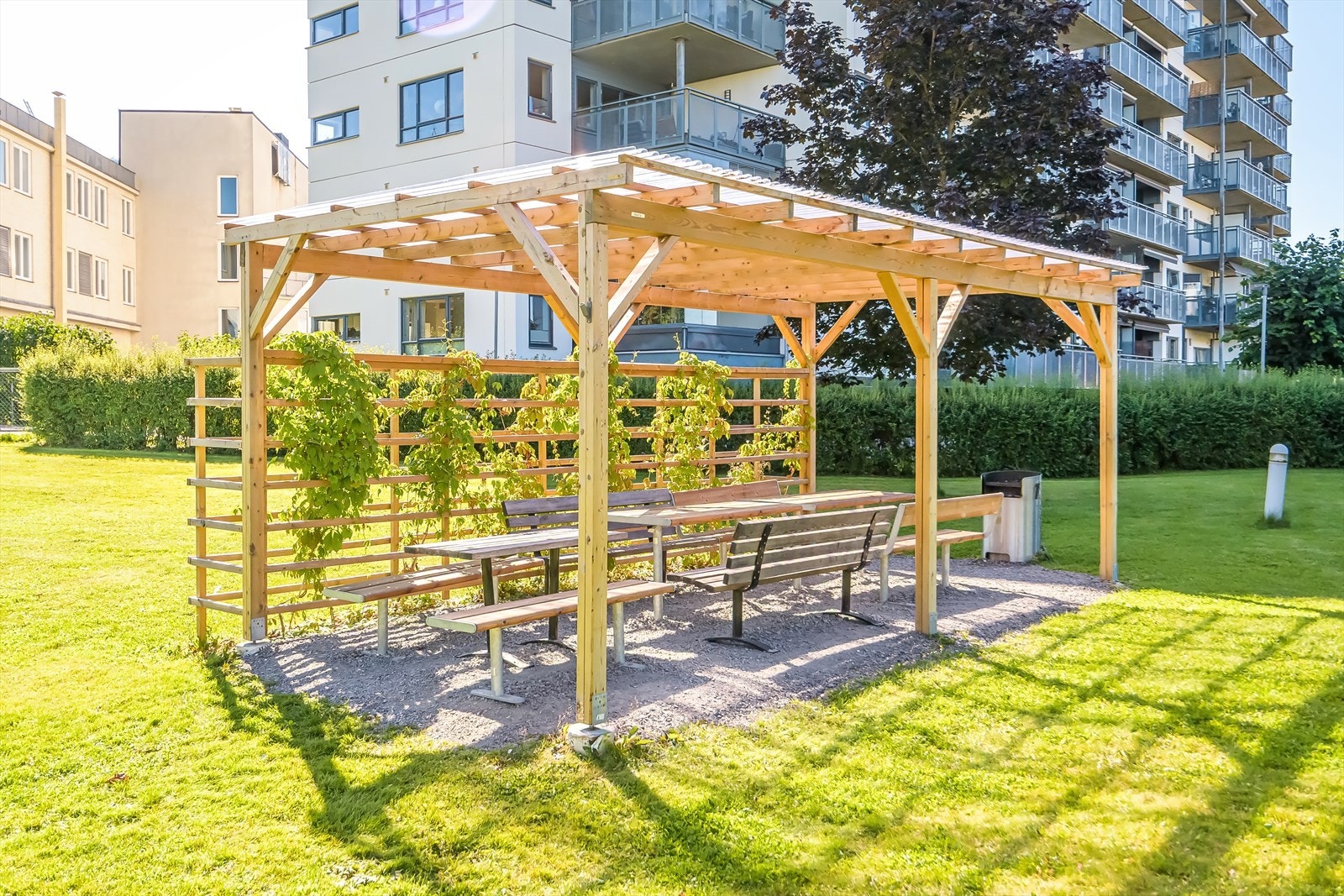 Borettslaget har stor tomt med plen og gress. Ny pergola til stor glede for beboerne. Galleribilde