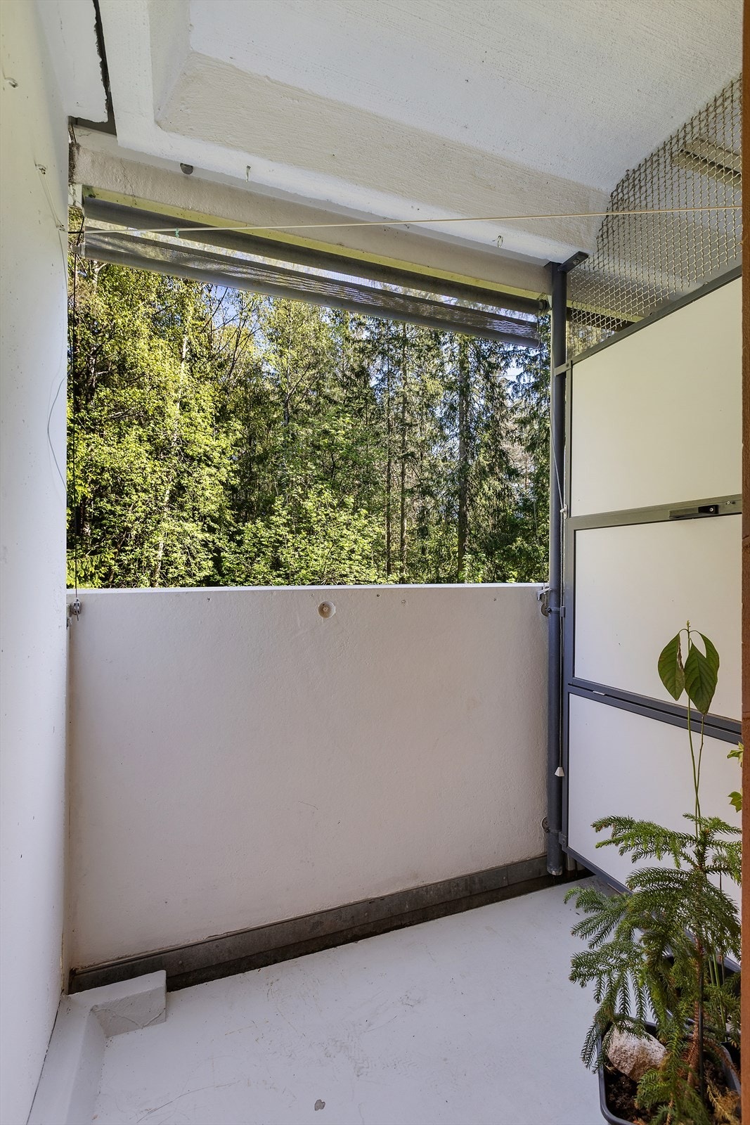 Dette gir ekstra mulighet for naturlig ventilasjon, godt lysinnslipp og en luftig følelse, samt enkel tilgang til uteplass rett fra baderommet. Galleribilde