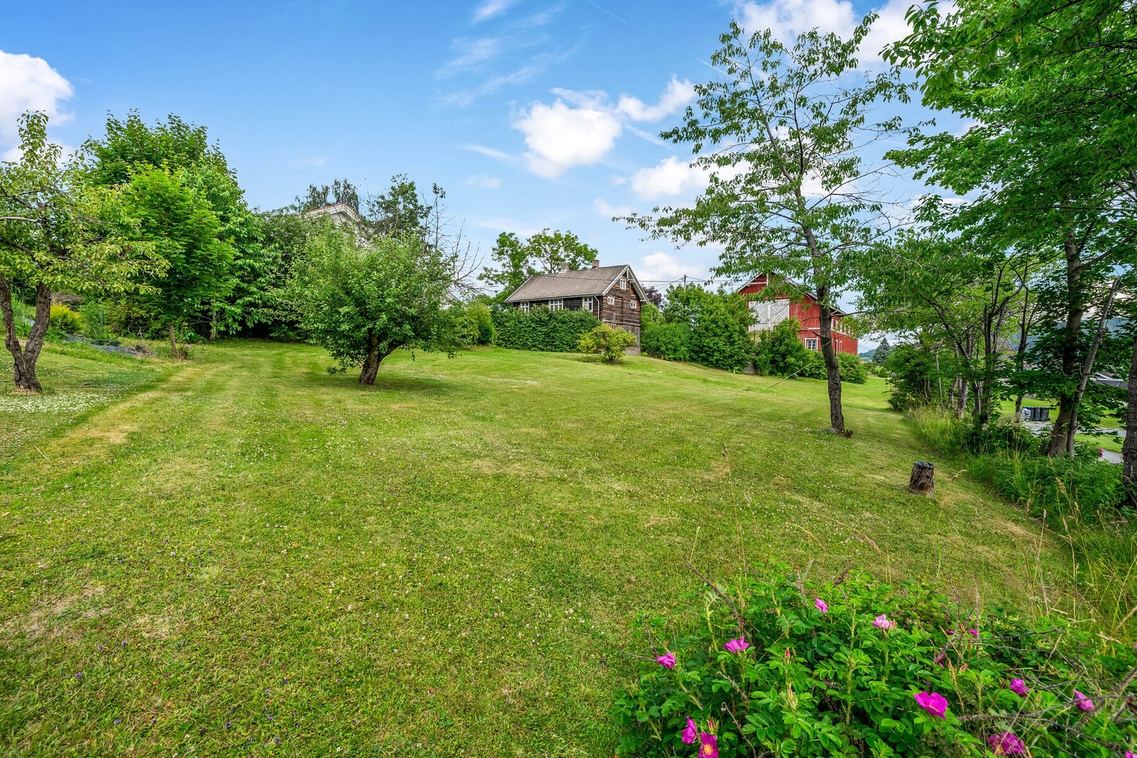 Tomta som kan følge med. God muligheter for å bygge en bolig med stor tomt om en slår sammen disse. Galleribilde