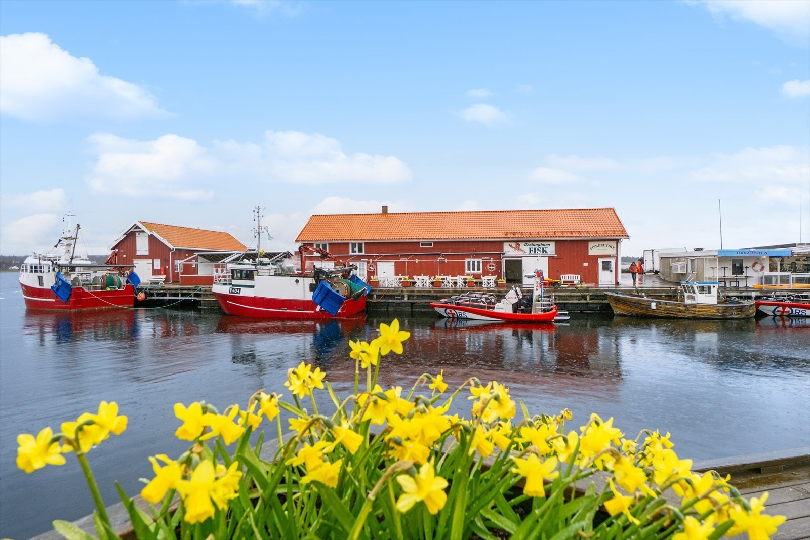 Lokal fiskebutikk nede ved havna Galleribilde