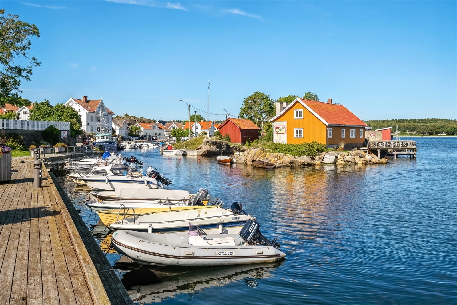 KOSELIG Galleribilde