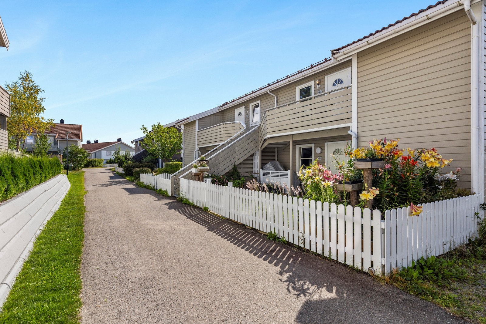 Fasade. Galleribilde