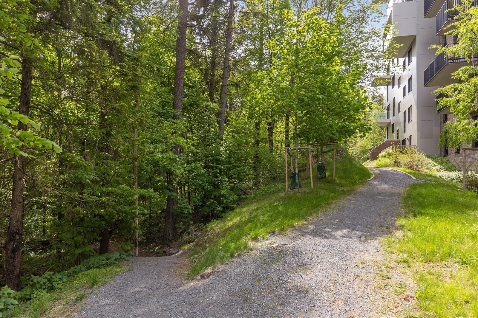 Fine turområder rett nedanfor Galleribilde