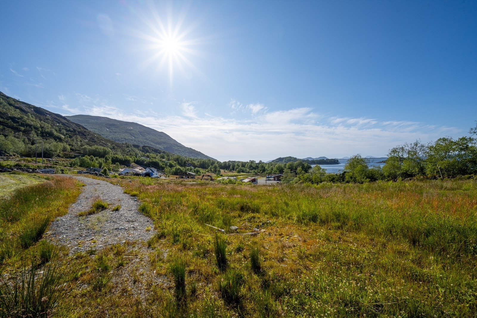 Ein får fine ettermiddagar her ute Galleribilde
