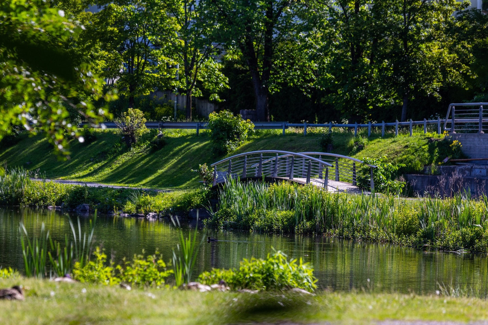 Flotte turområder i nærheten, her ser vi Øvre Smestaddammen. Galleribilde