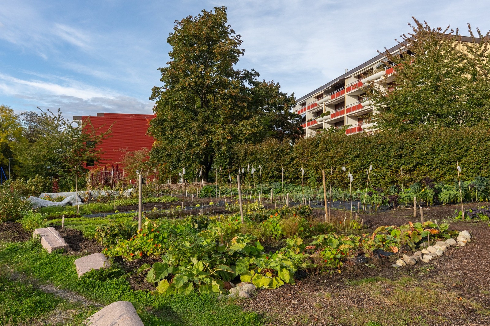 Parsellhage Skøyen terrasse borettslag. Galleribilde
