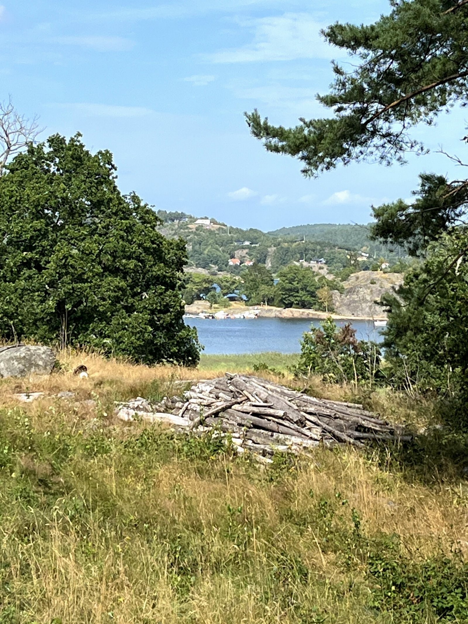 Utsikt fra tomten Galleribilde