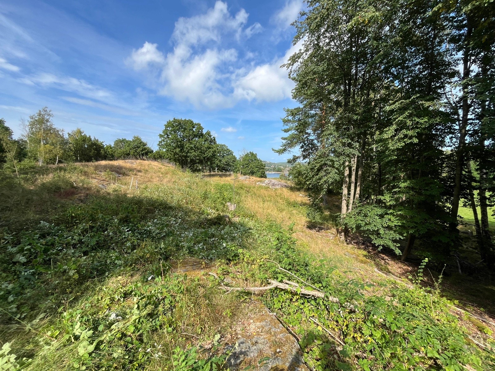 Tomten ligger på et høydedrag Galleribilde