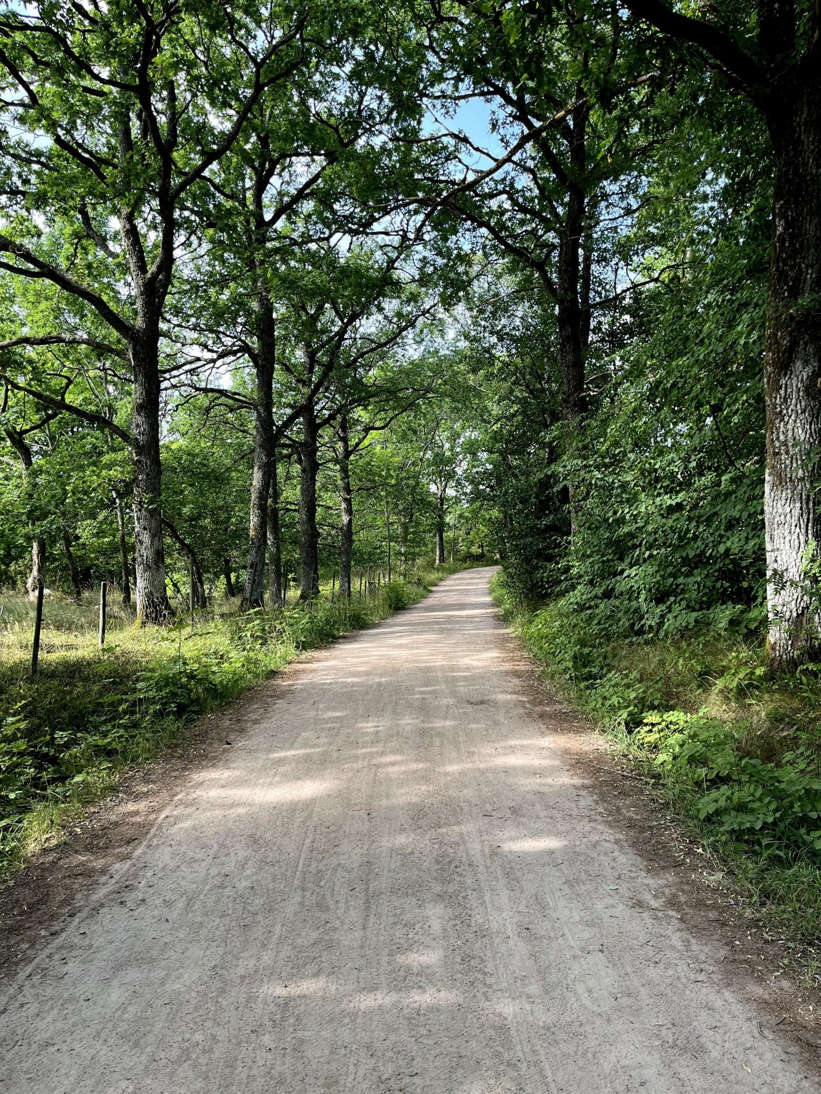 Veierland er en idyllisk bilfri øy i Tønsbergfjorden Galleribilde