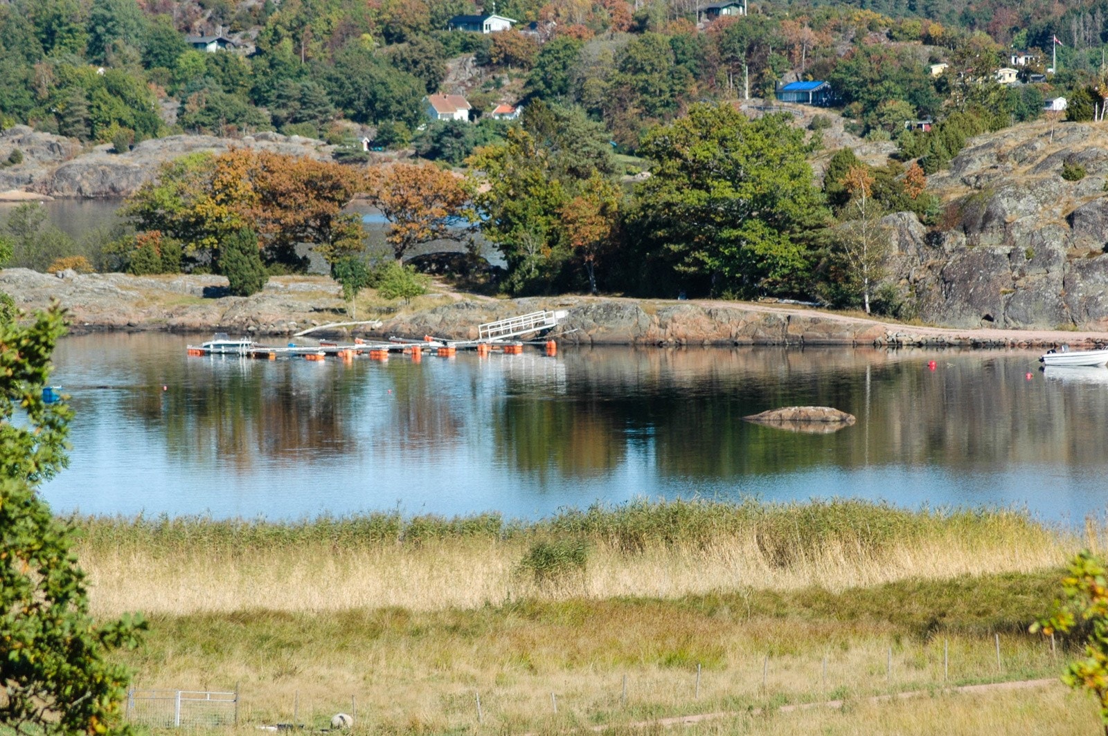 Utsikt mot Tenvik Galleribilde