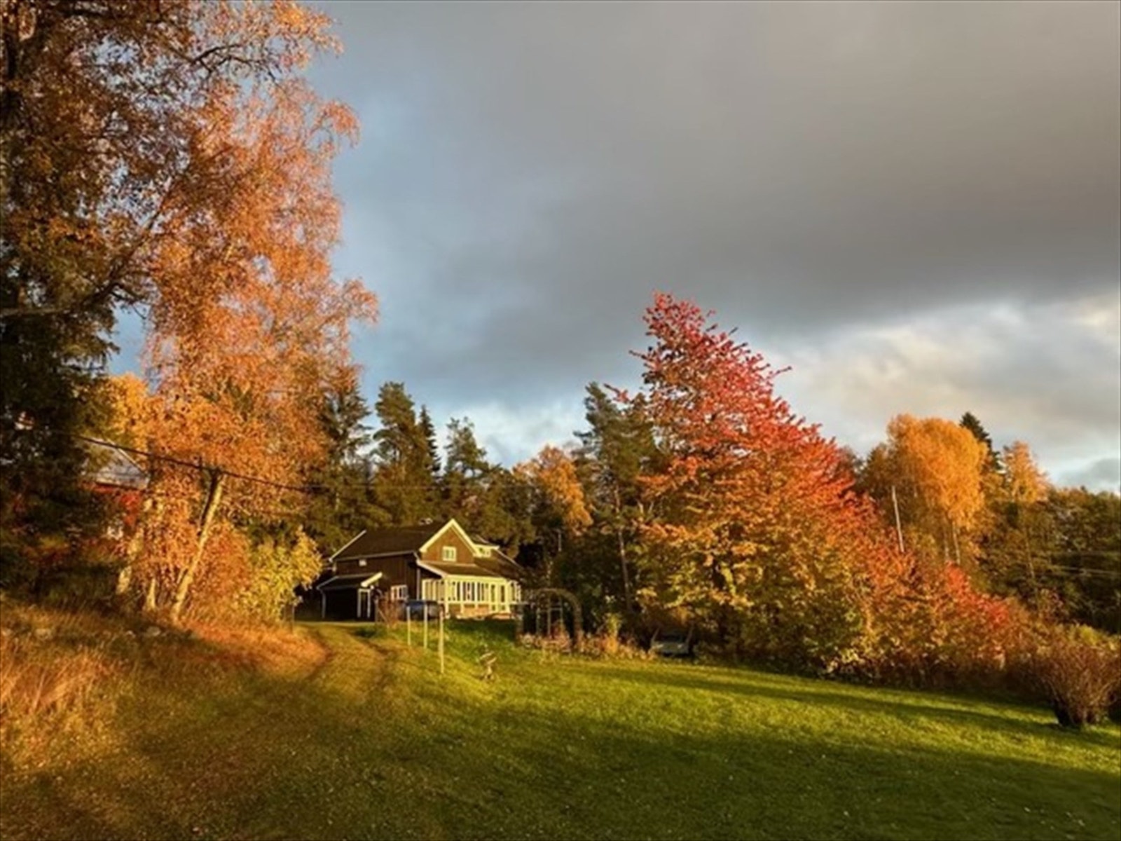 Selgers egne stemningsbilder. Galleribilde