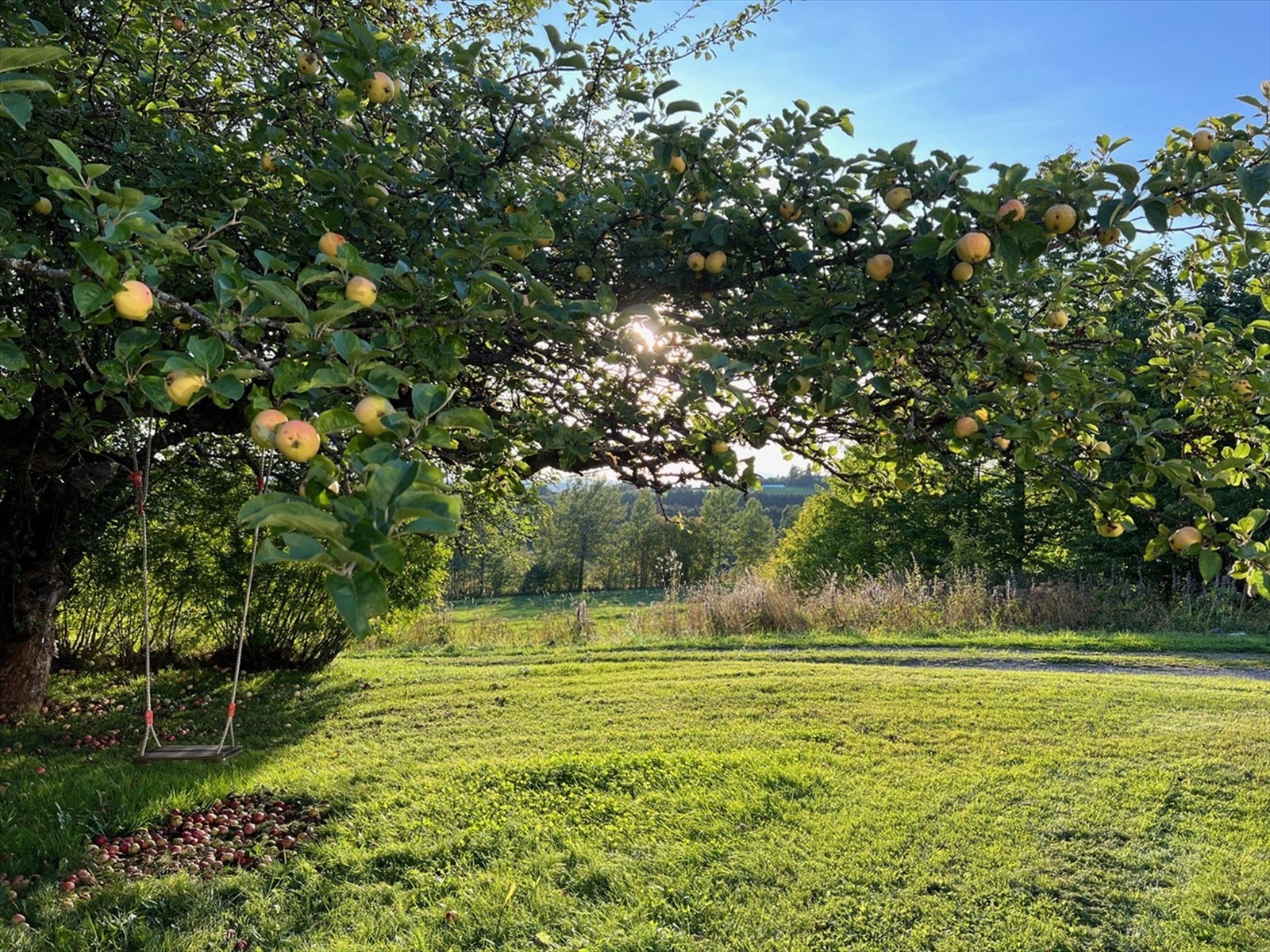 Selgers egne stemningsbilder. Galleribilde