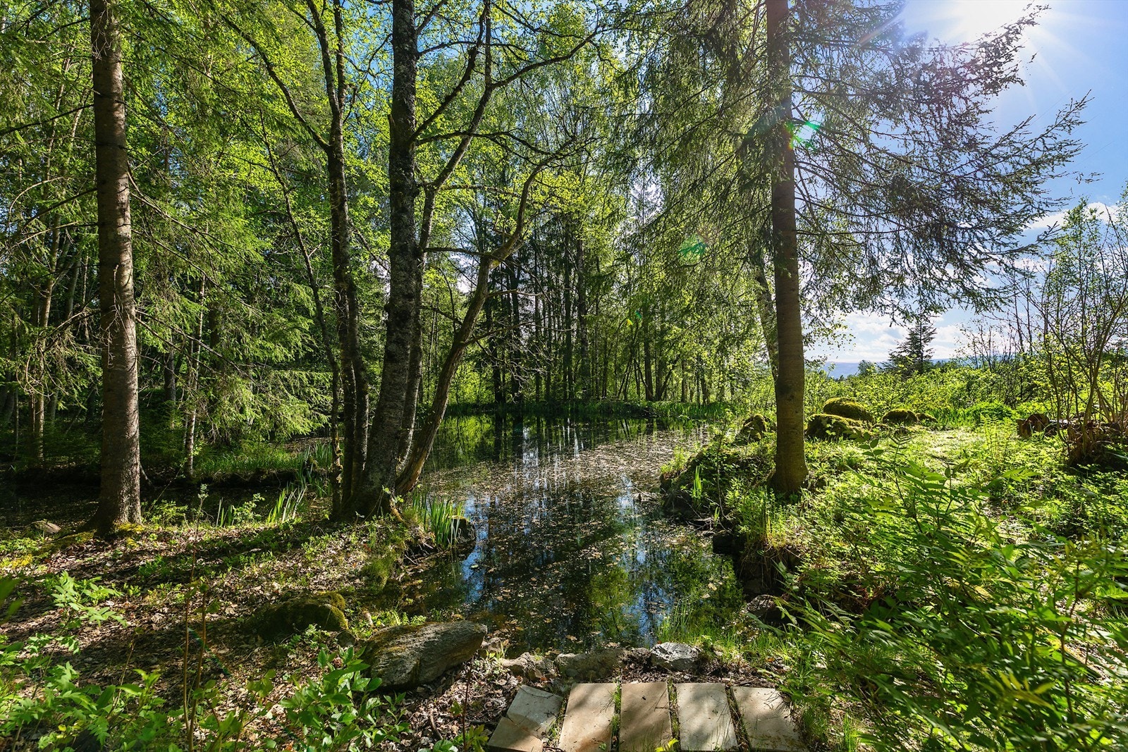 Idyllisk damanlegg på eiendommen. Galleribilde
