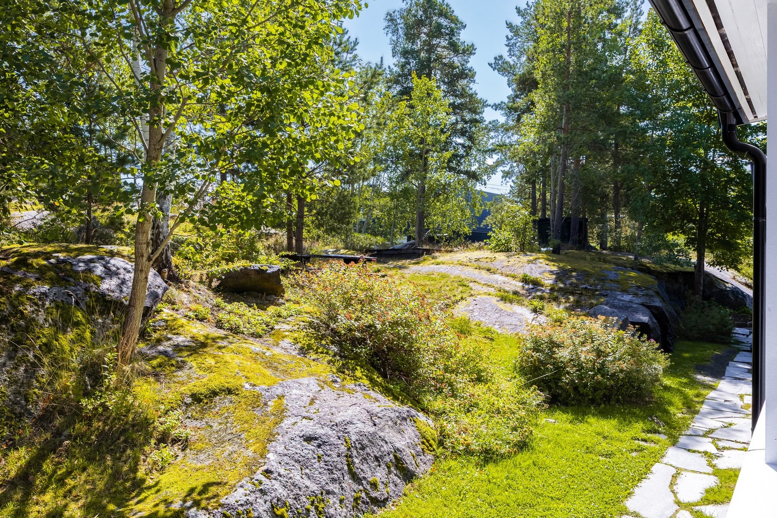 Hyggelig utsyn. Galleribilde