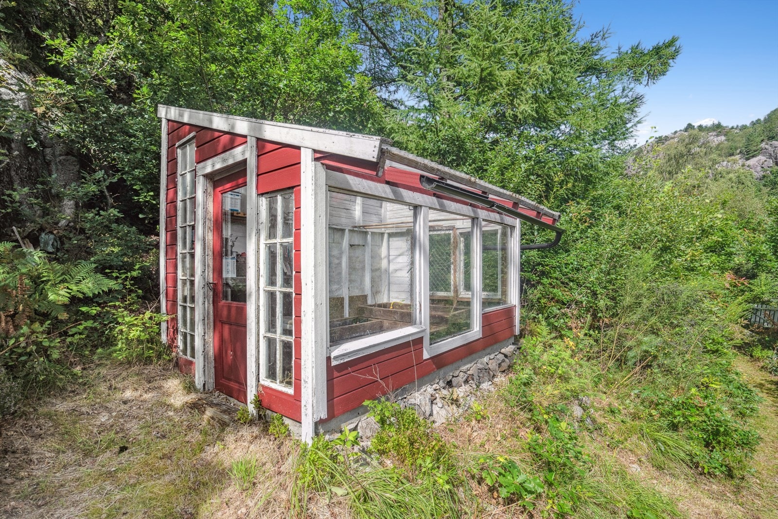 Drivhus Galleribilde