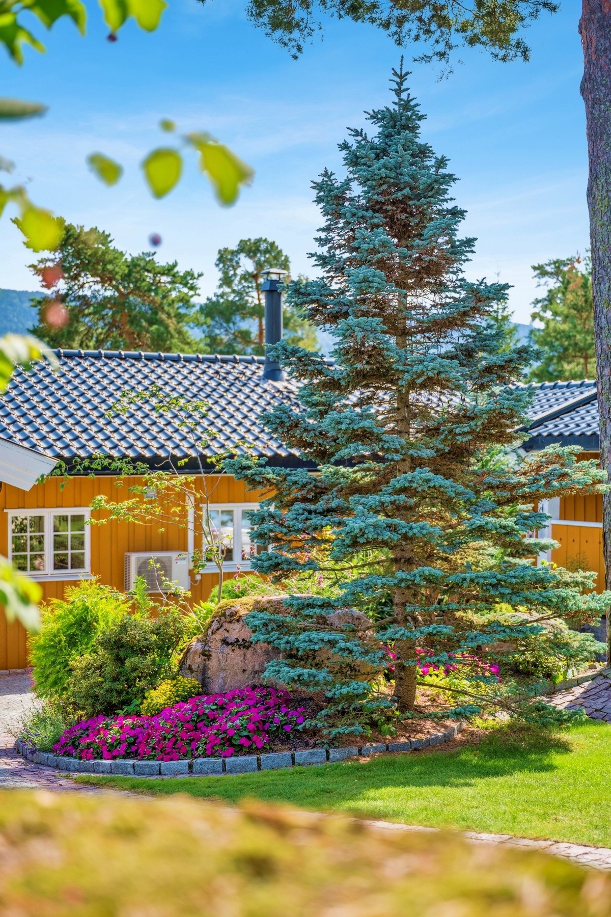 Frodig beplantning som rammer inn eiendommen. Galleribilde