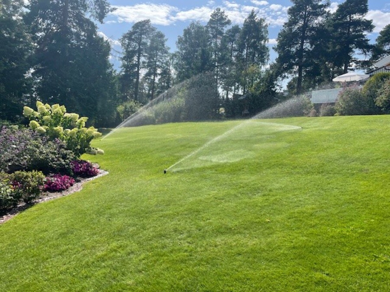 Plenareal med automatisk vanningssystem. Galleribilde