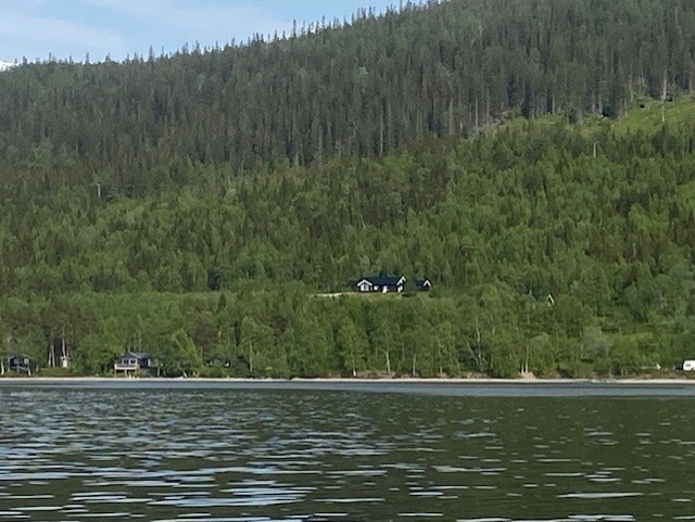 Sommerstemning Galleribilde