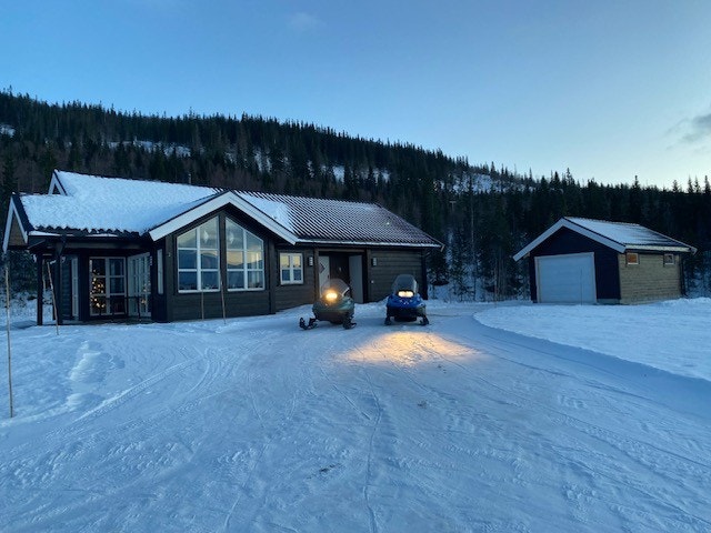 Fine skcooterløyper Galleribilde