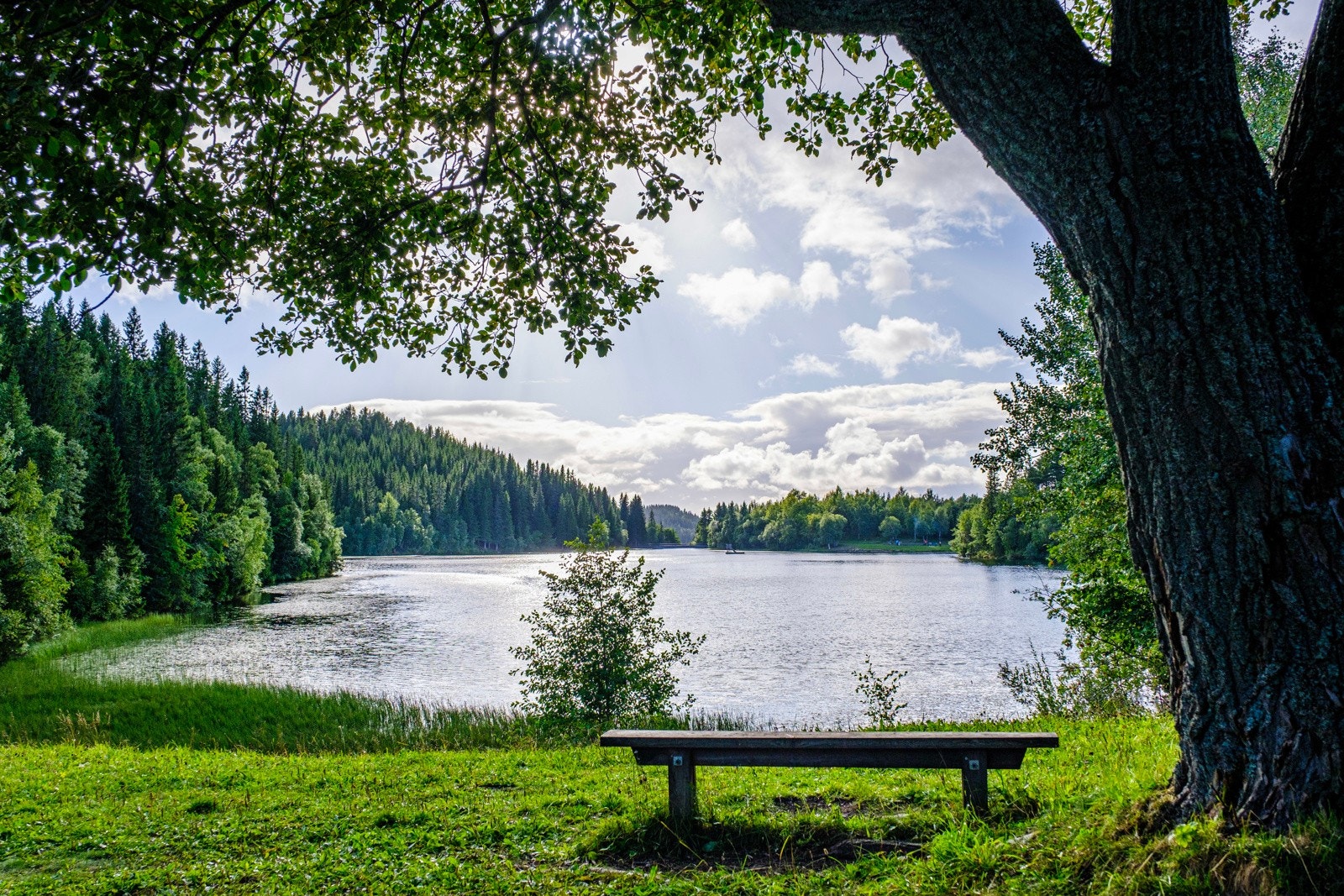 I Estenstadmarka finner du idylliske Tømmerholtdammen som byr på fantastiske bademuligheter på sommeren, samt skøytebane på vinterhalvåret. Galleribilde